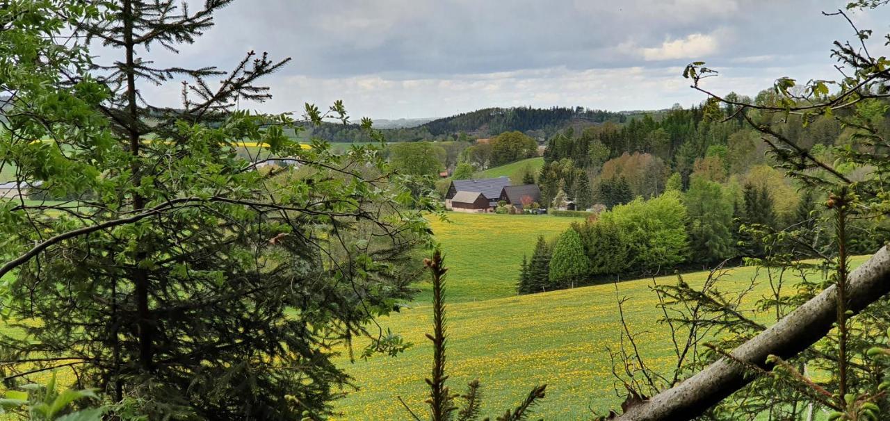 Zum Elleblick Apartment Frauenstein  Bagian luar foto