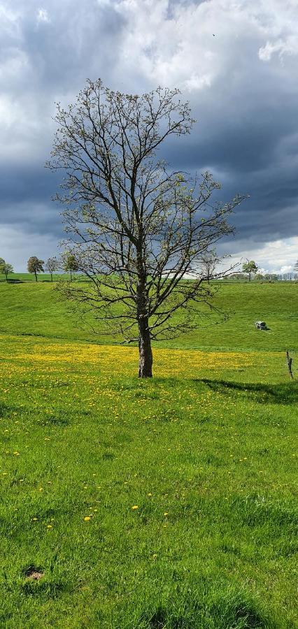 Zum Elleblick Apartment Frauenstein  Bagian luar foto
