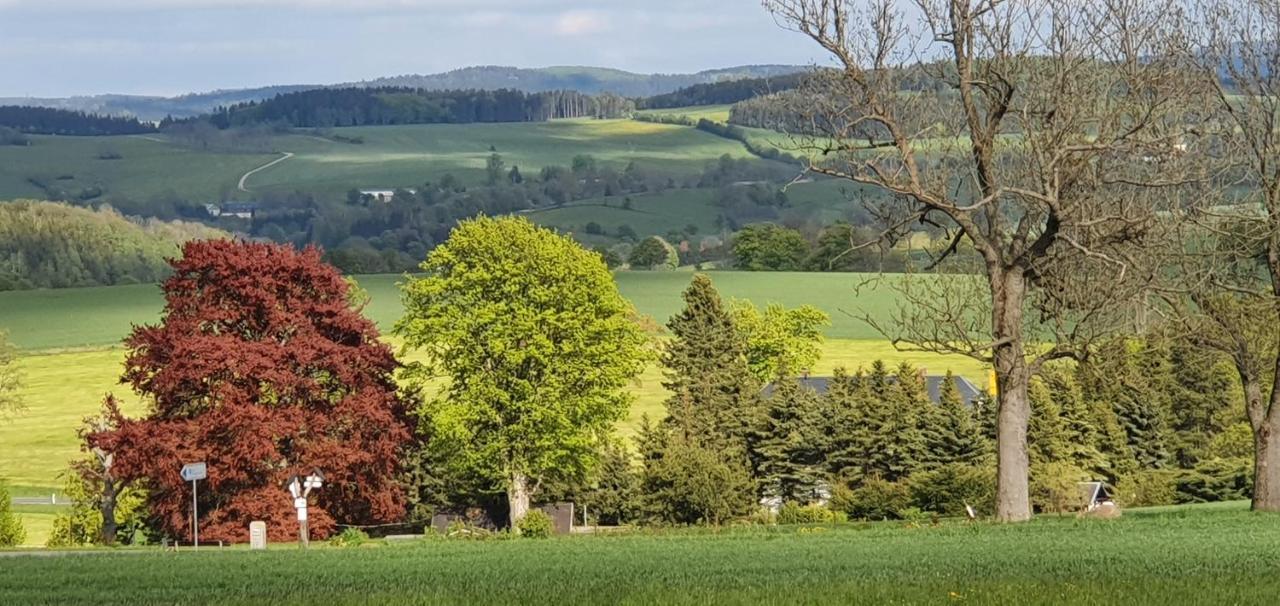 Zum Elleblick Apartment Frauenstein  Bagian luar foto