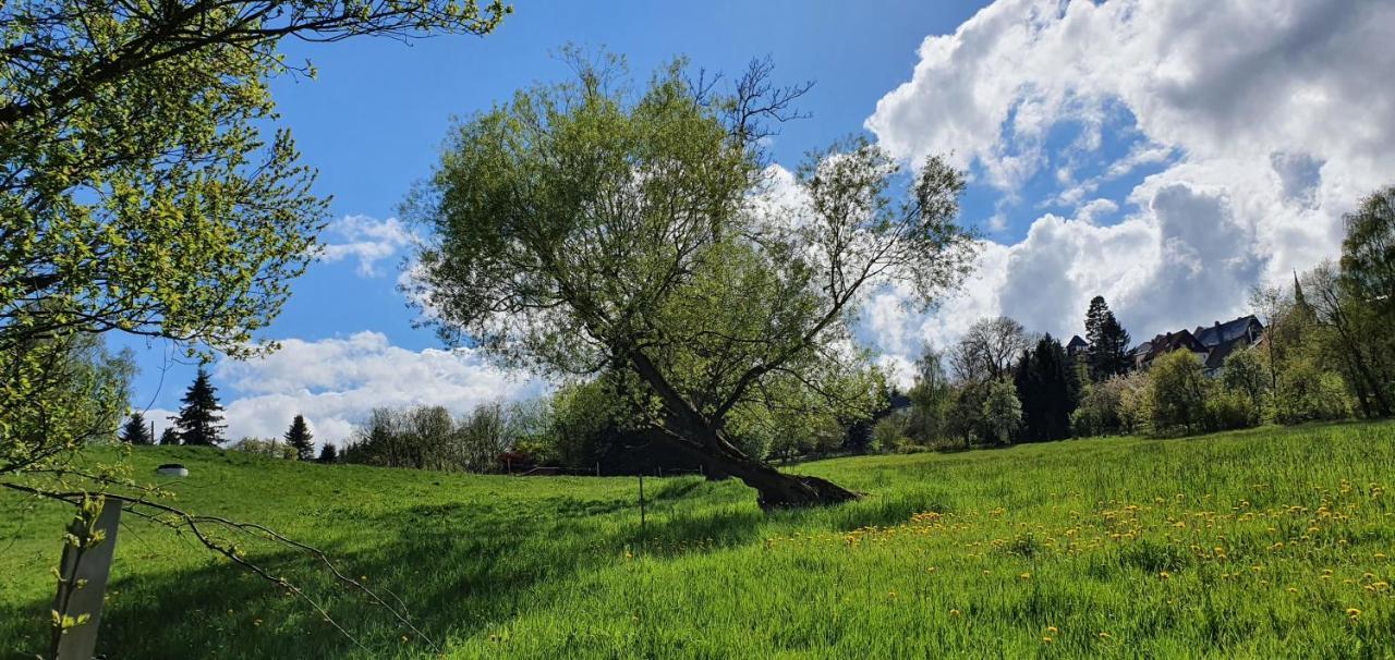 Zum Elleblick Apartment Frauenstein  Bagian luar foto