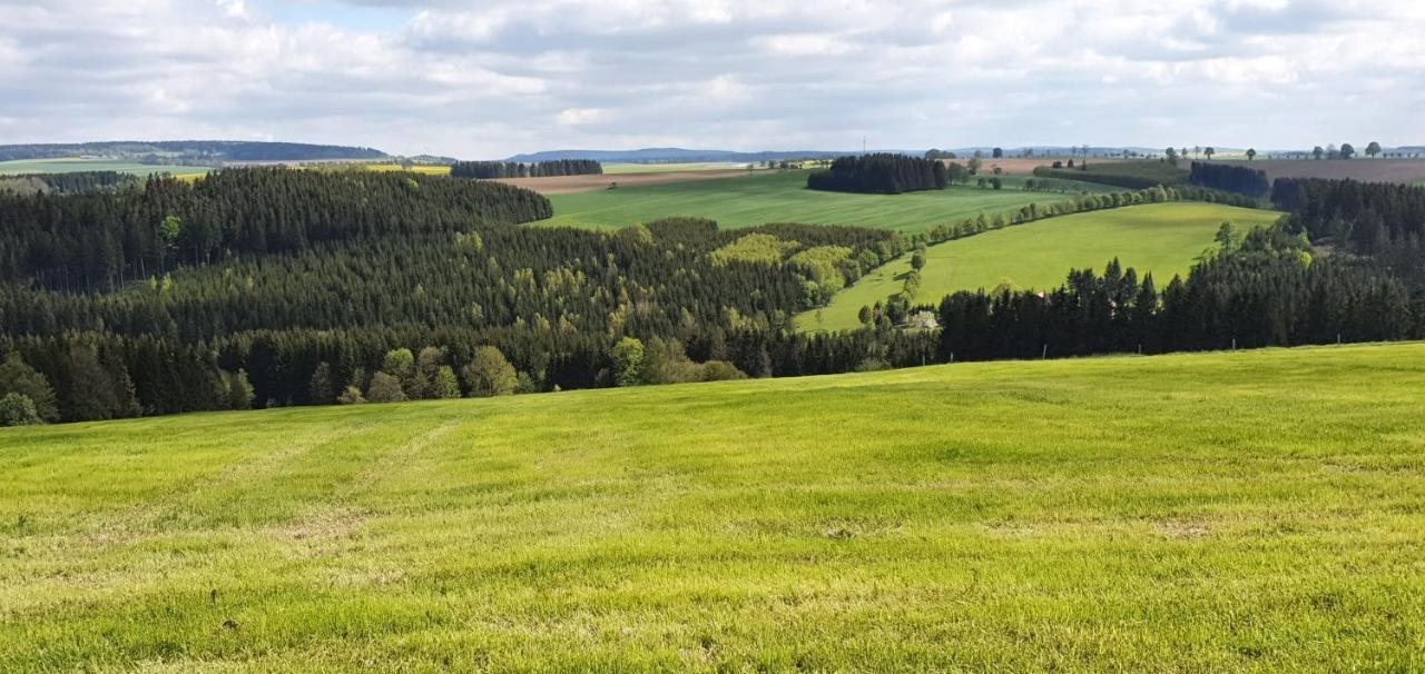 Zum Elleblick Apartment Frauenstein  Bagian luar foto