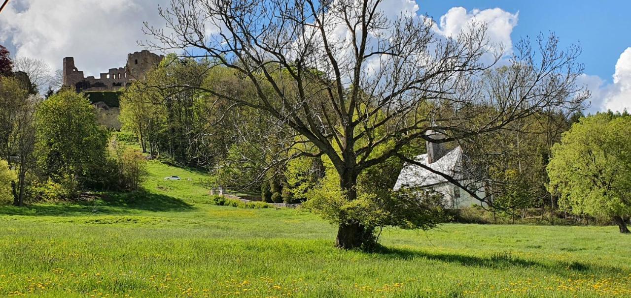 Zum Elleblick Apartment Frauenstein  Bagian luar foto
