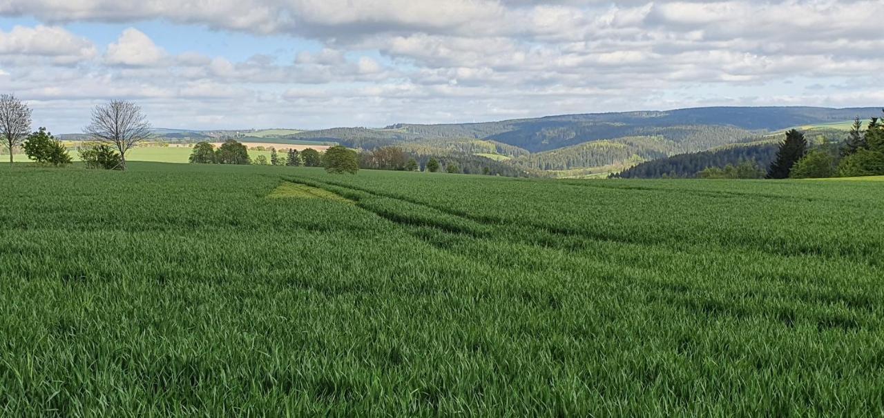Zum Elleblick Apartment Frauenstein  Bagian luar foto